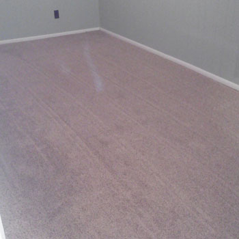 New Carpet